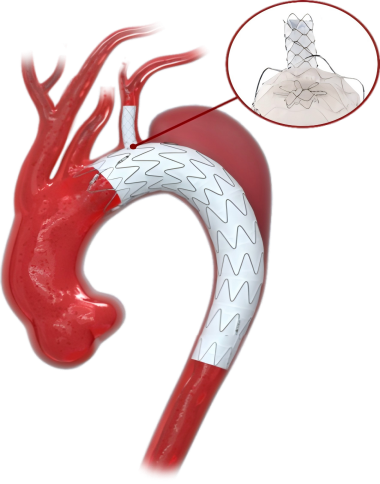 图片2(1).png 图片2(1).png