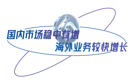 国内市场稳中有增,海外业务较快增长.png 国内市场稳中有增,海外业务较快增长.png