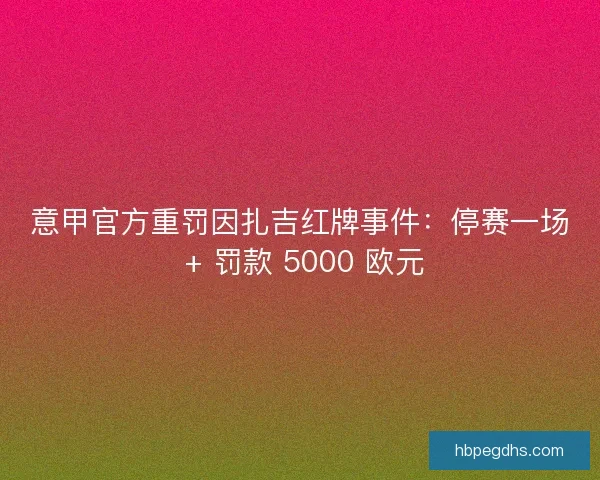 意甲官方重罚因扎吉红牌事件：停赛一场 + 罚款 5000 欧元
