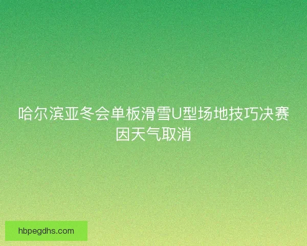 哈尔滨亚冬会单板滑雪U型场地技巧决赛因天气取消