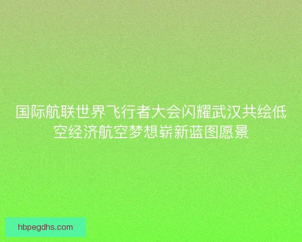 国际航联世界飞行者大会闪耀武汉共绘低空经济航空梦想崭新蓝图愿景