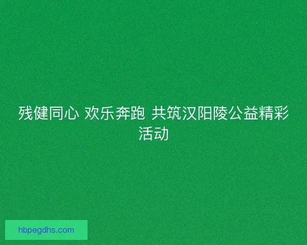 残健同心 欢乐奔跑 共筑汉阳陵公益精彩活动