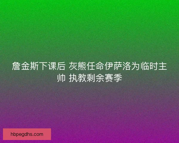 詹金斯下课后 灰熊任命伊萨洛为临时主帅 执教剩余赛季